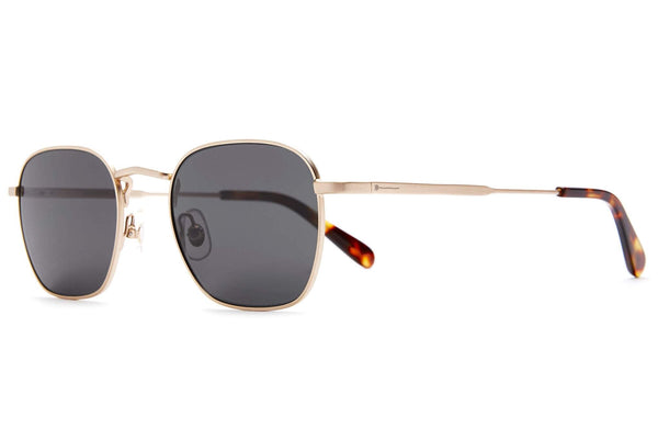 The Groove Pilot / Brushed Gold & Tortoise Bio & Polarised Grey Lens - Shade Files
